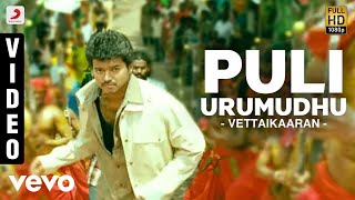 Vettaikaaran  Puli Urumudhu Video  Vijay [upl. by Narruc]