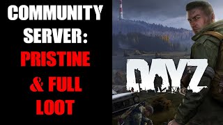 How To Make Loot Spawn Undamaged Pristine Full amp Last Longer On DayZ Console Community Server [upl. by Ardiek]