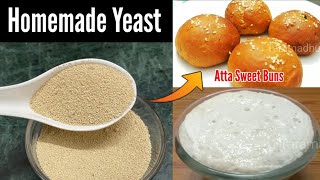 Homemade Yeast Recipe for Pav Buns Pizza How to make Yeast at home Atta sweet buns Recipe [upl. by Anileva]