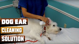 Best Dog Ear Cleaning Solutions in 2024 Top 10 Picks [upl. by Lebiram]