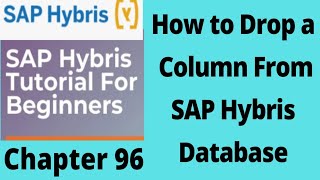 delete a column from hybris db table  DROP Column in hybris db  remove Column in sap hybris hsqldb [upl. by Alvie254]