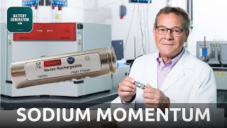 Prof Stefano Passerini  SodiumIon Batteries gain Momentum  Battery Podcast [upl. by Aicertal18]