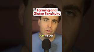 How Modern Farming Causes Gluten Intolerance [upl. by Silletram]