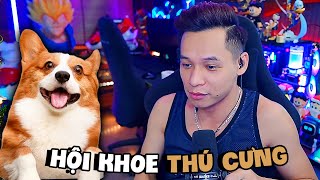 Restream Tổ chức Hội thi khoe Thú Cưng của xóm FA gặp lại mãnh thú tới từ Hà Đông đầy kỷ niệm [upl. by Kahl]