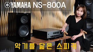 최고의 악기 회사가 스피커를 만들면  YAMAHA NS800A 북쉘프 스피커 리뷰 및 청음 영상 [upl. by Mcdade]