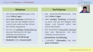 Jägerprüfung Niedersachsen Unterschiede Ablege und Folgetyp beim Schalenwild [upl. by Anay67]