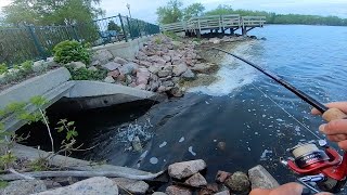 Okoboji Bank Fishing For Bass Where To Fish For Large Mouth Bass [upl. by Ysak]