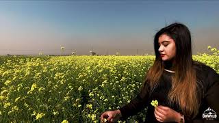 Beautiful Bangladesh  Cinematography [upl. by Merola]