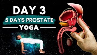 Day 3 of a Prostate Problem FREE Life  Yoga Exercises for Men [upl. by Anibla]