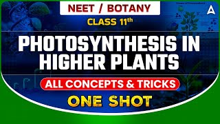 PHOTOSYNTHESIS IN HIGHER PLANTS ONE SHOT  NEET 2024  ALL CONCEPTS amp TRICKS  BOTANY SANKALP BHARAT [upl. by Soloman]