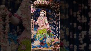 Sri Krishna Pushya Abhishek Flower Outfit Darshan Jan6th 2023 ISKCON Mayapur [upl. by Atnahsa]