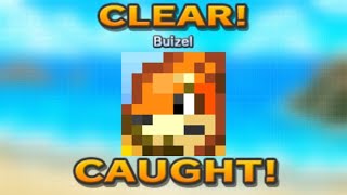 Pokemon Picross  Buizel  A0704  20241110 [upl. by Braden]