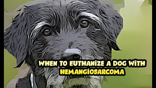 Hemangiosarcoma Dog Life Expectancy  is the Spleen Tumor Painful [upl. by Elyk]