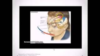 les voies visuelles anatomie et histologie [upl. by Ulah23]