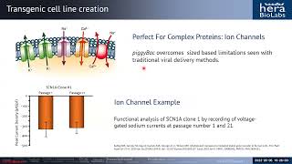 PiggyBac Applications Beyond Stable Cell Lines [upl. by Annek]