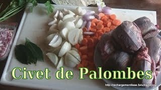 RECETTE DE PALOMBE partie 12 [upl. by Otrepur105]