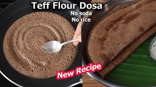 Teff flour dosa  Healthy and Tasty Breakfast Recipe  New Breakfast Recipe [upl. by Ruenhs]