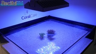 Présentation de la rampe LED CoralCare de Philips [upl. by Utica]