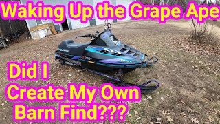 Grape Ape Emerges from its Summer Sleep Vintage Polaris XLT Triple Snowmobile Resurrection [upl. by Ecnadnac393]