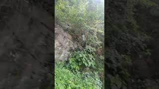 Yeh wadiyan yeh fix aayein bula rahi hai Tumh mohd Rafi song view Uttarakhand uttarakhand travel [upl. by Conlee470]