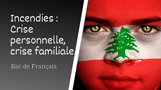 Incendies Wajdi Mouawad Crise personnelle crise familiale [upl. by Jaqitsch]