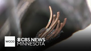 Video shows disguised thieves stealing copper worth thousands from rural businesses [upl. by Weathers]