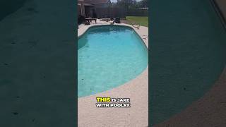 Expert EXPOSES Plaster Pool Disasters In Corpus Christi leakdetection swimmingpool shorts [upl. by Ennairak]