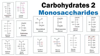 Carbohydrates 2  Monosaccharides  Aldoses  Ketose  Triose  Pentose  Hexose  Dr Ghanshyam [upl. by Llevram]