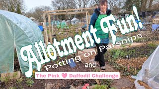 Allotment Fun Clever Tool For The Allotment Potting on Parsnips and The Pink Daffodil Challenge [upl. by Osman]