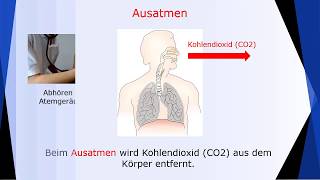 Fit für die Pflege Diese AtmungssystemVokabeln solltest du unbedingt kennen Deutsch lernen [upl. by Richey386]