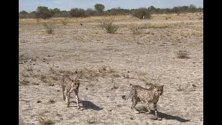 Day 4145 Inner Namibia [upl. by Ahsilav]