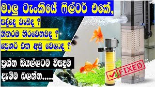 How to Aquarium Filter Repair  How to Change Aquarium Motor Shaft in Sinhala [upl. by Einnil]