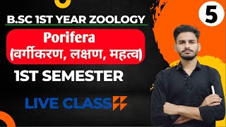 Porifera bsc 1st year in hindi  BSc 1st year zoology chapter 1 in hindi  bsc 1st year zoology [upl. by Hctub581]