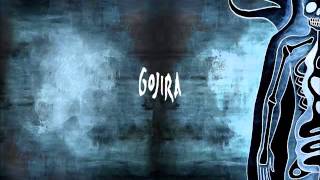 Gojira  Vacuity [upl. by Kathi]