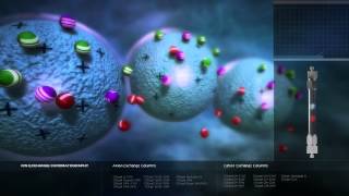 Ion Exchange Chromatography [upl. by Gariepy310]