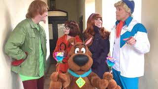 Shaggy and Scooby Doo ruin Freds Valentines plans  Universal Studios [upl. by Landahl]