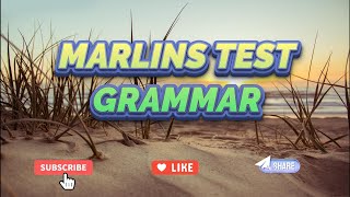 Marlins Test For Seafarer  Grammar [upl. by Sindee]