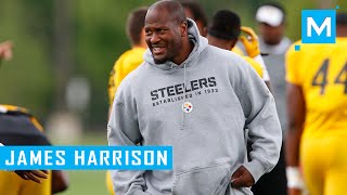 James Harrison Strength Training Workouts for Football  Muscle Madness [upl. by Llenwahs438]