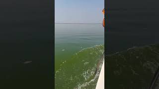 Tourist enjoy boat ride on river Godavari [upl. by Ylellan]