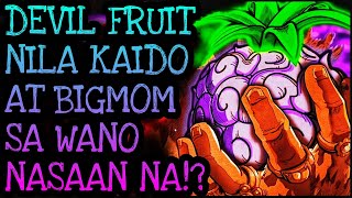 DEVIL FRUITS SA WANO KUKUNIN NI BLACKBEARD  One Piece Tagalog Analysis [upl. by Eelanaj]