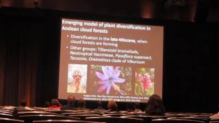 LagomarsinoThe abiotic and biotic drivers of rapid diversification in Andean bellflowers [upl. by Jessabell]