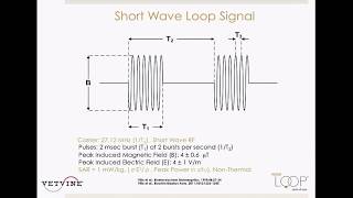 WEBINAR  Applications for the Assisi Loop in the Equine Practice [upl. by Thagard471]