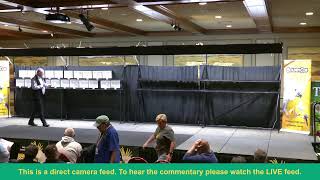 ANBC National Budgerigar Show 2024  DAY 1 CAMERA 2 DIRECT FEED  Launceston  Tasmania [upl. by Nnor565]