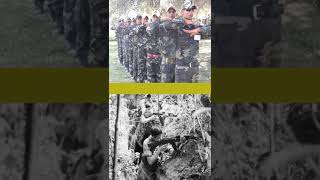 Paramilitares y Guerrilleros ¿Qué los diferencia realmente [upl. by Nomihs]