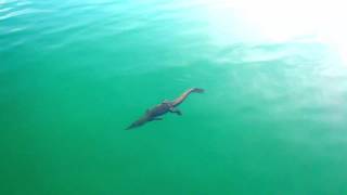 Arnhem Land Fishing on the Cobourg Peninsula with IFISH [upl. by Ribaj723]