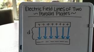 Parallel plate capacitor electric field lines [upl. by Ahsenwahs]