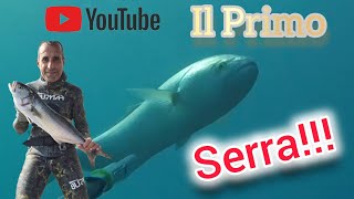 Pesca Sub  IL PRIMO SERRA Pescasubspearfishingfish [upl. by Forsta376]