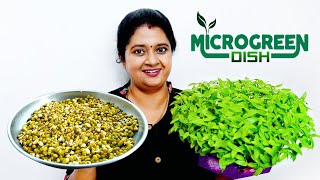 എളുപ്പത്തിലൊരു ഇലക്കറി  Healthy Microgreens Recipe  Anila Sreekumar [upl. by Andeee209]