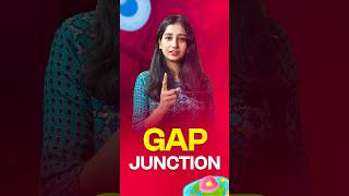 Gap Junctions cellbiology lifescience csir neet gate biology sciencefacts science facts [upl. by Nnaeiluj]