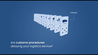 Are customs procedures delaying your logistics service [upl. by Adamek162]